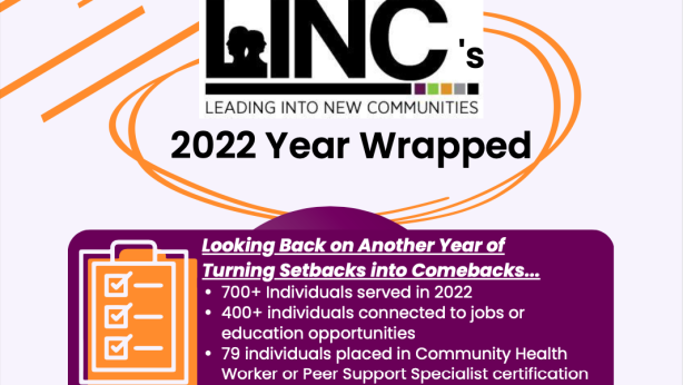 linc 2022 year in review